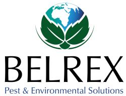 Belrex Pest And Environmental Solutions